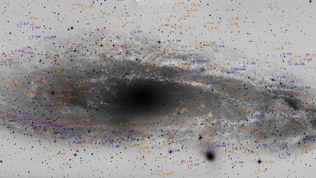 Extragalaktische Objekte in M 31