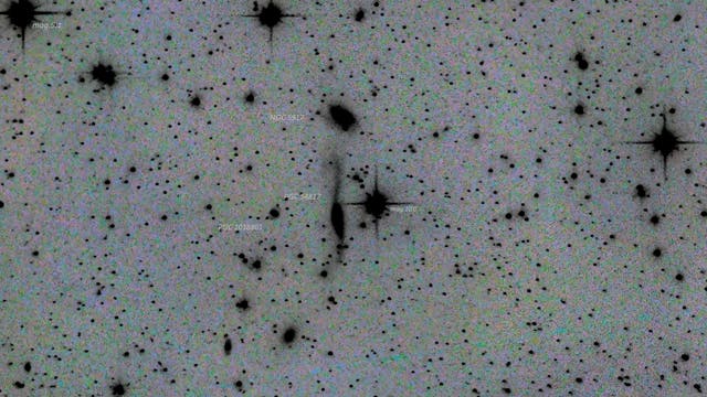 Arp 254 - wechselwirkendes Galaxienpaar in der Waage (inverse Darstellung)