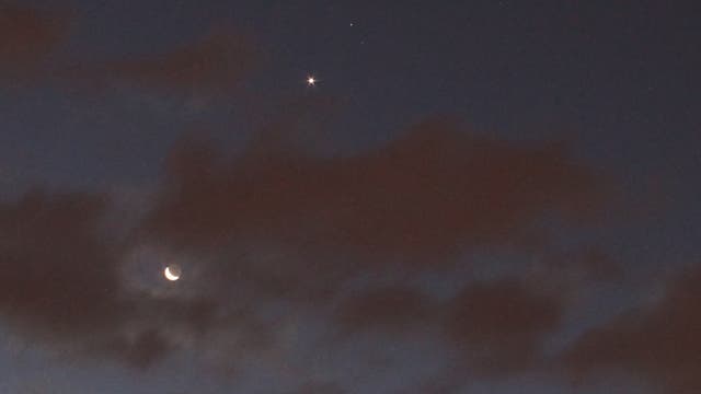 Mond, Venus, Mars und Jupiter am Morgenhimmel