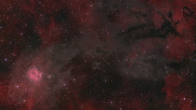Der Schwanz des Kokon-Nebels IC 5146