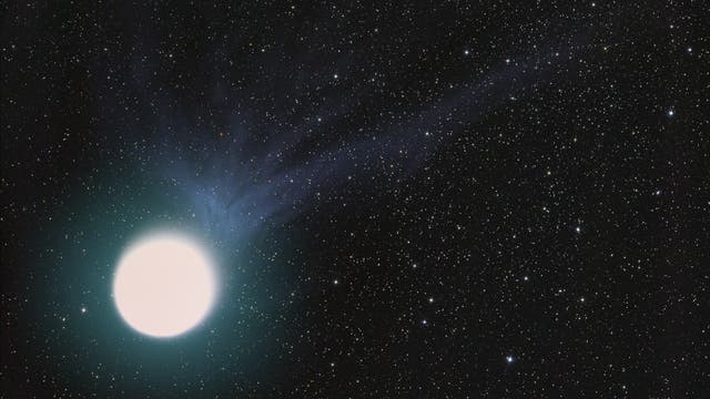 Comet 17P/Holms