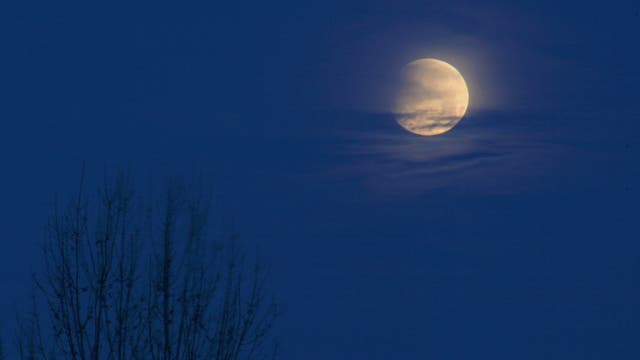 Beginn der Mondfinsternis am 21.12.2010