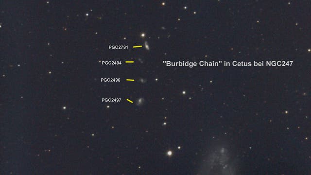 Burbidge Chain in Cetus