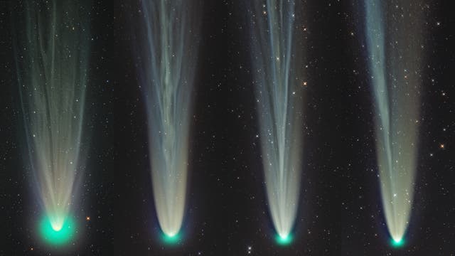 Komet C/2021 A1 Leonard am Südhimmel - Dez 2021 / Jan 2022