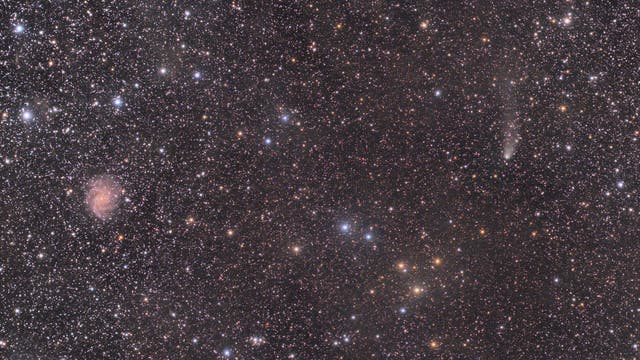 C/2021 S3 PANSTARRS begegnet NGC 6946