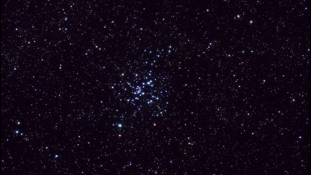 Messier 41 – offener Sternhaufen im Sternbild "Großer Hund" (CMa)