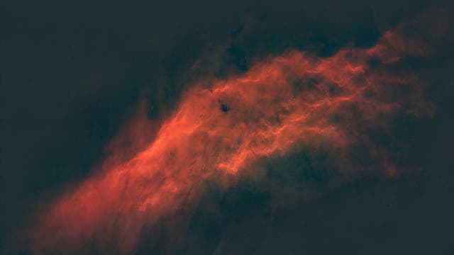 The California Nebula (NGC 1499)