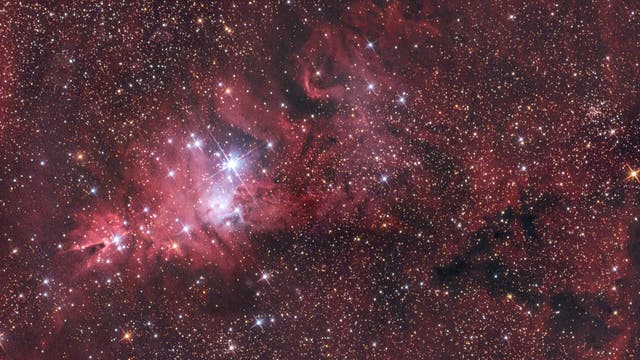 Weihnachtsbaum-Haufen, NGC 2264