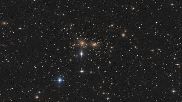 Abell 1656 – der Coma-Galaxienhaufen