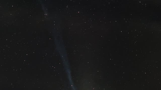 Komet Lemmon nähert sich der Sonne