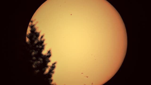 Sonnenflecken 