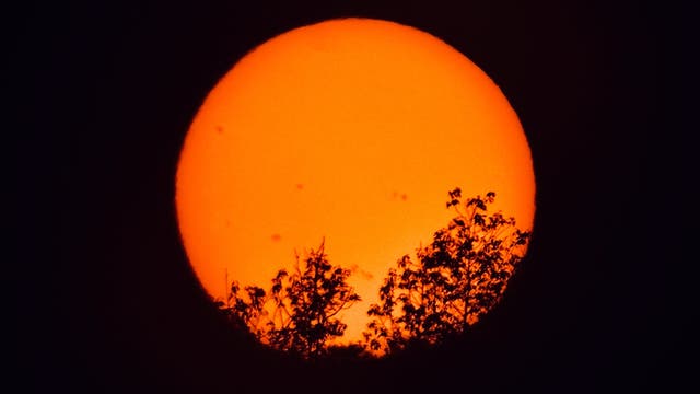 Waldzauber bei Sonnenuntergang 