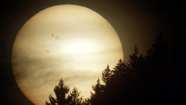 Sonnenfleckenregionen 