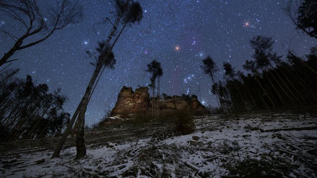 Der Sternenhimmel über einem Naturdenkmal