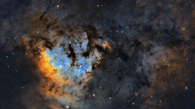 The heart of NGC 7822 in Hubble Palette