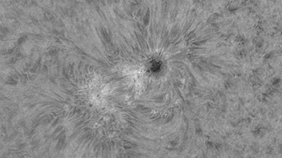 Sonnenfleck 1072 vom 24.5.2010 in H-alpha