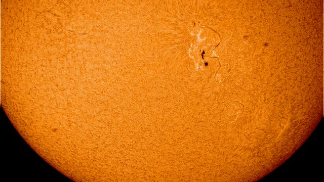Großer Sonnenfleck am 29.9.2011