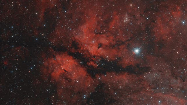 IC 1318 Gamma-Cygni-Nebel
