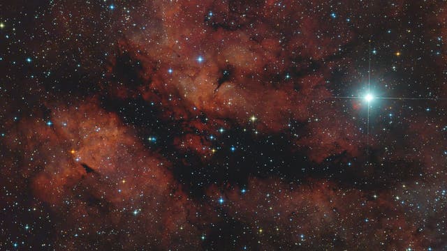 IC  1318 Gamma-Cygni-Nebel