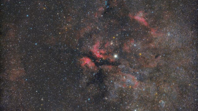 Gamma-Cygni-Nebel IC 1318