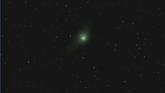 Komet C/2009 P1 (Garradd) am 31.1.2012