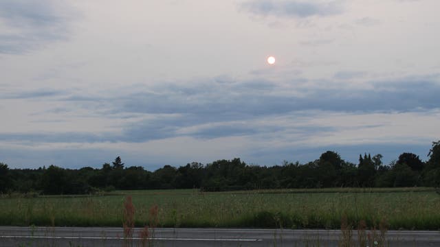 Vom Dunst getrübte Sonne