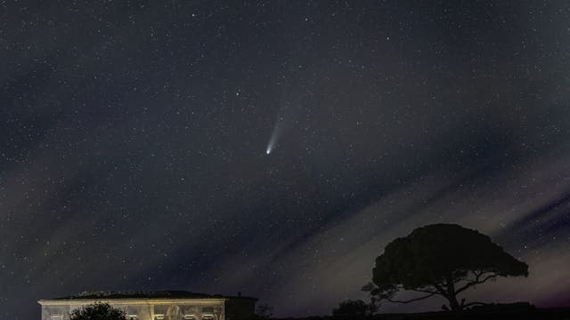 Comet C/2025 A6 (Lemmon) 