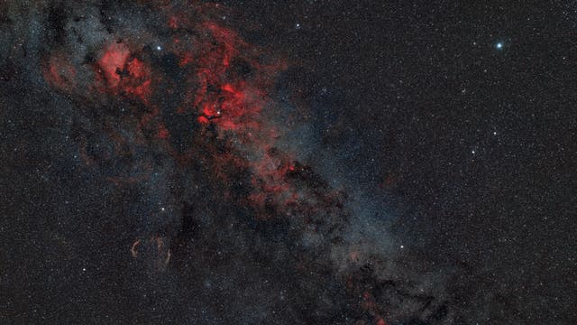 Cygnus