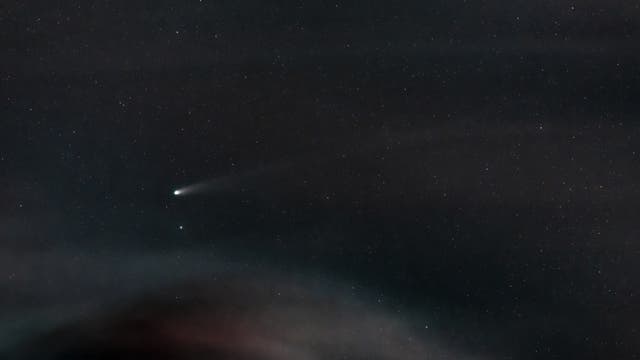 Comet C/2025 A6 Lemmon