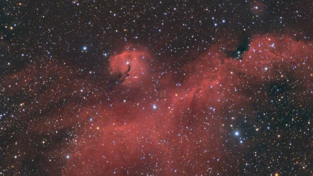 Der Möwennebel  - NGC 2177
