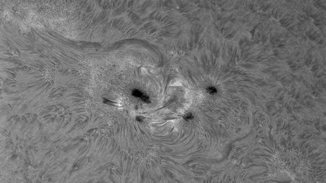 H-alpha-Sonne am 5. März 2011 - Detailansicht
