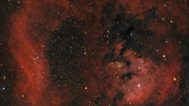 Cederblad 214, NGC7822