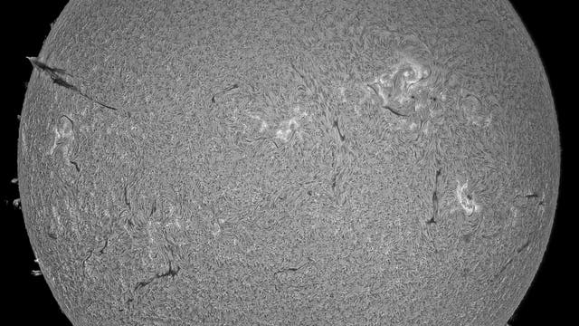 H-Alpha-Sonne Anfang Juni 2025