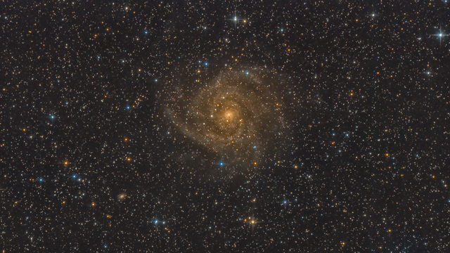 IC 342 - Die "versteckte" Galaxie