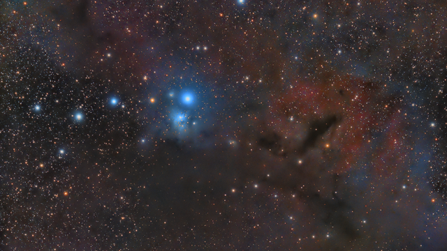 IC 348 Reflexionsnebel & Umgebung