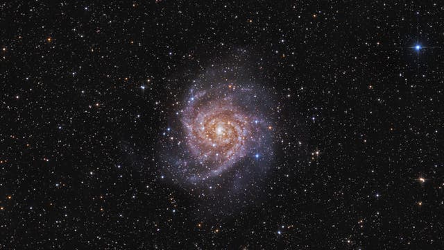 IC 342, die verborgene Galaxie