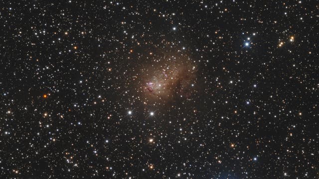 IC 10  Zwerggalaxie (Ausschnitt)