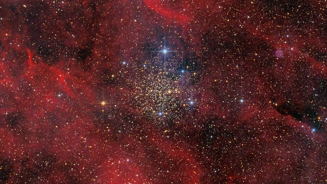 IC 1311 - Sternhaufen im Schwan