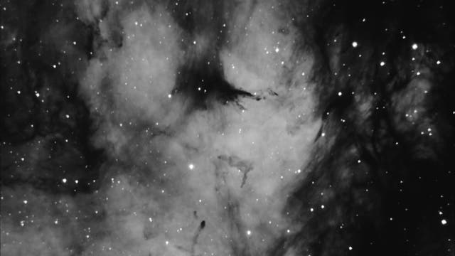 IC 1318 – Gamma-Cygni-Nebula