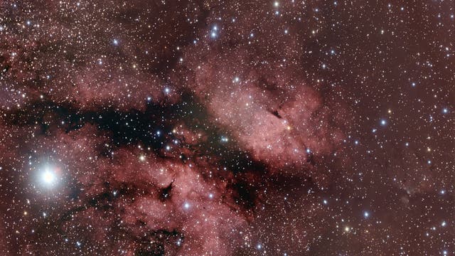 IC1318 im Sternbild Schwan