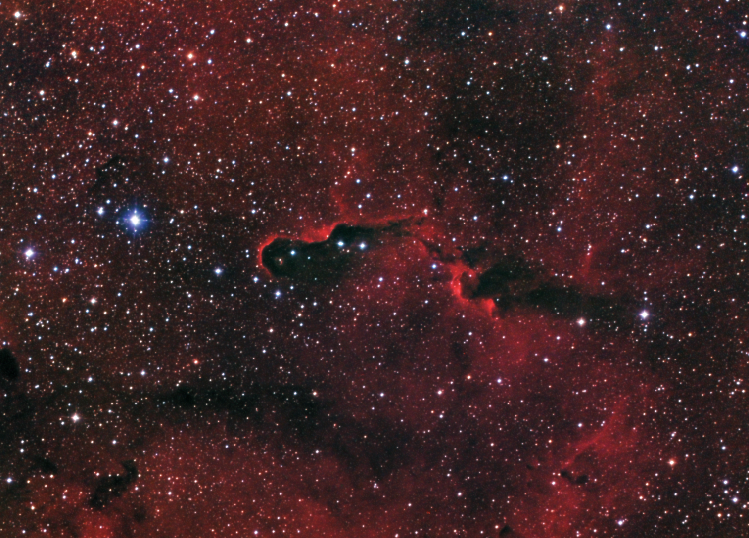 IC 1396/ VDB 142