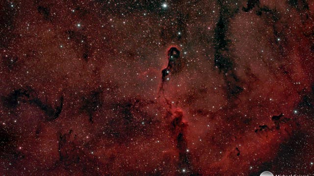 IC 1396A Elefantenrüssel-Nebel
