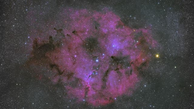 IC1396 in Kepheus
