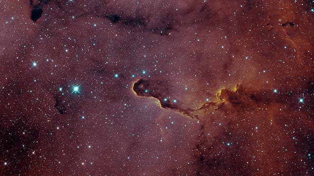 IC 1396A - Elefantenrüsselnebel Bicolor