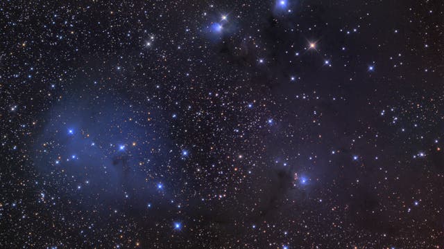IC 2169, IC 446, NGC 2241 und 2245