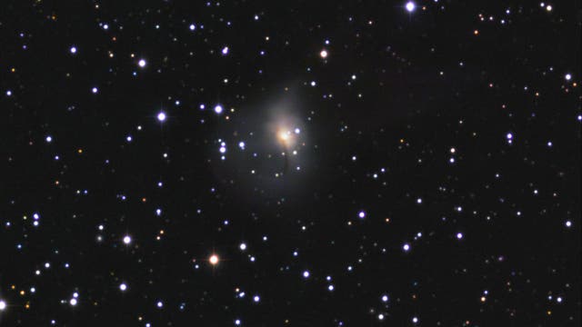 IC 334 mit SN 2008hy