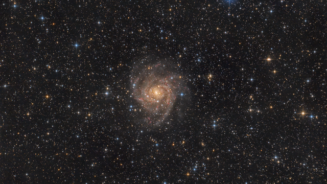 IC 342 - Die versteckte Galaxie