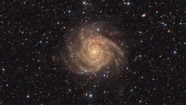 IC 342 Die Versteckte Galaxie