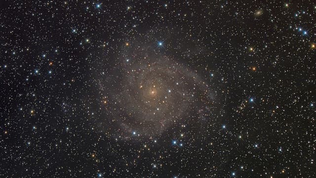 IC 342, eine verborgene Galaxie