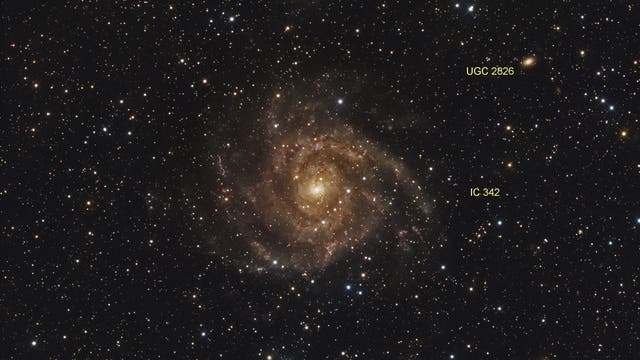 Hidden Galaxy IC 342 (mit Beschriftung)